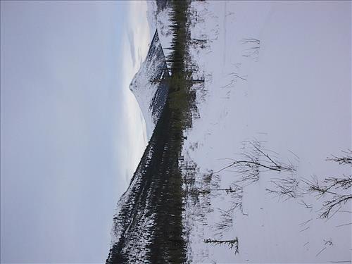 2 Gates of the Arctic National Park and Preserve Hares Survey 2004