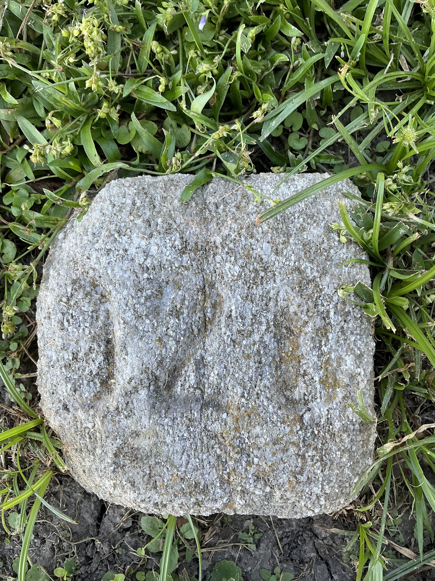 Top of flat marble marker