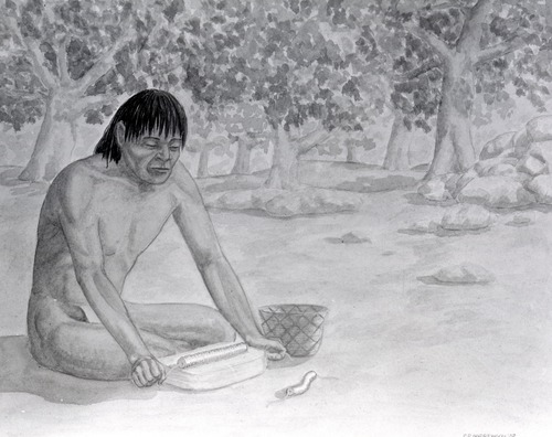Grinding clambshells for Native American beads. Copy of drawing.