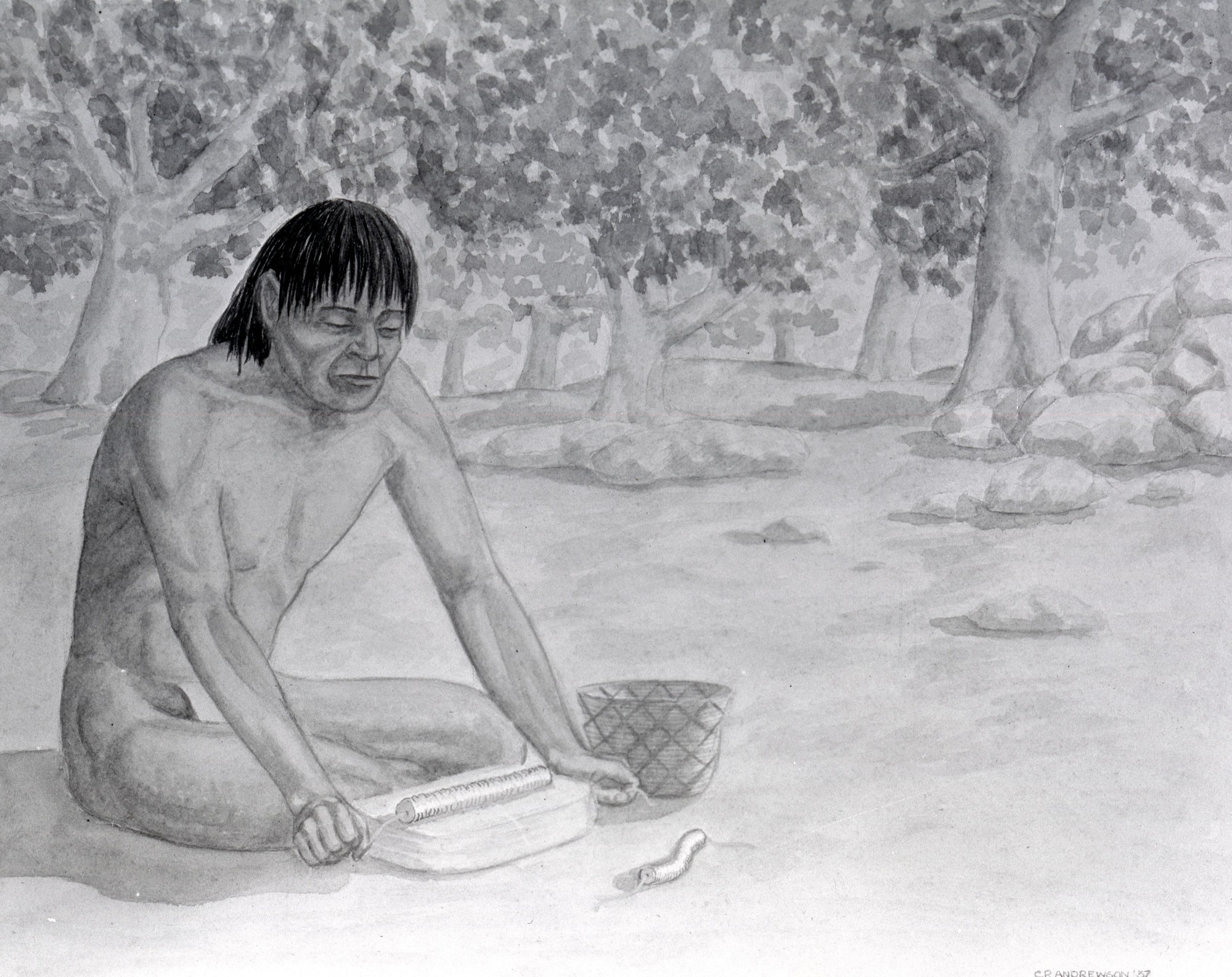 Grinding clambshells for Native American beads. Copy of drawing.