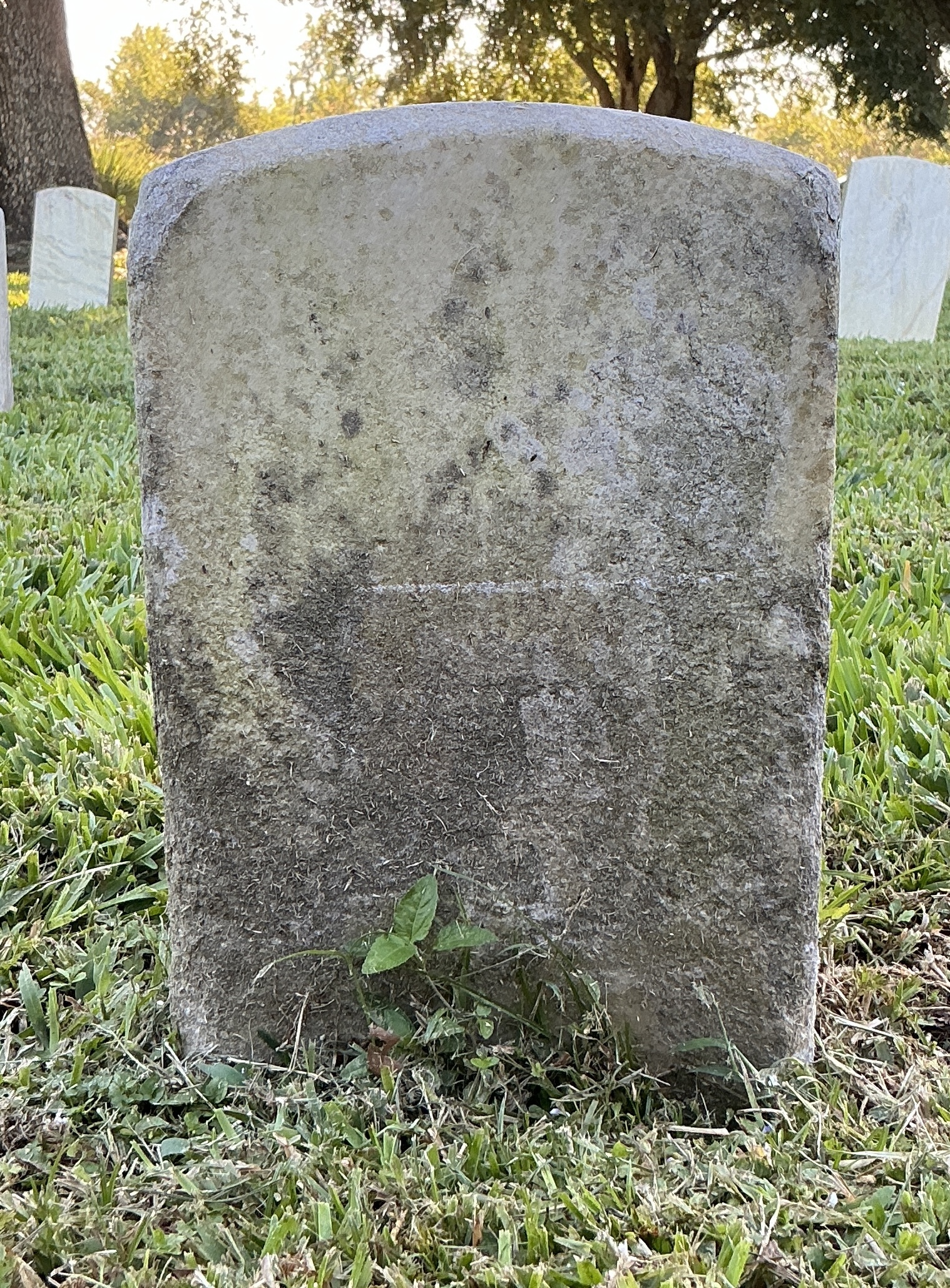 Back of historic upright marble headstone with recessed shield face.