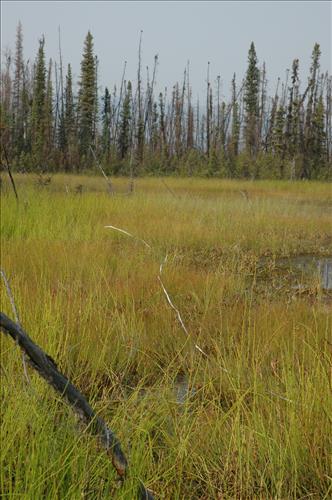 2 Water Quality Testing in Yukon-Charley Rivers National Preserve, August 2005