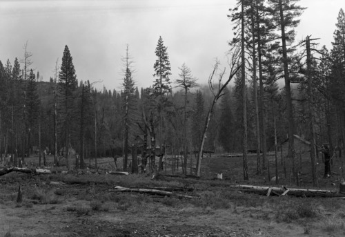 Private lands at Wawona, from Bob Russell lot.