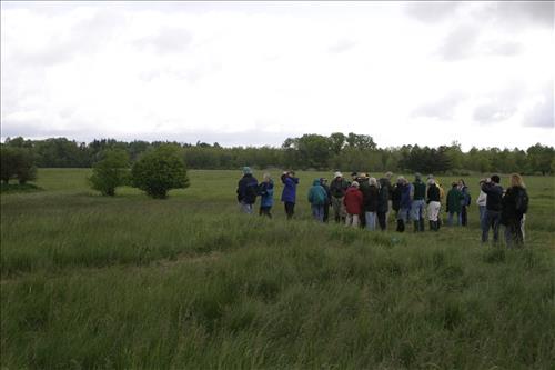 Bird watching at Coliseum site