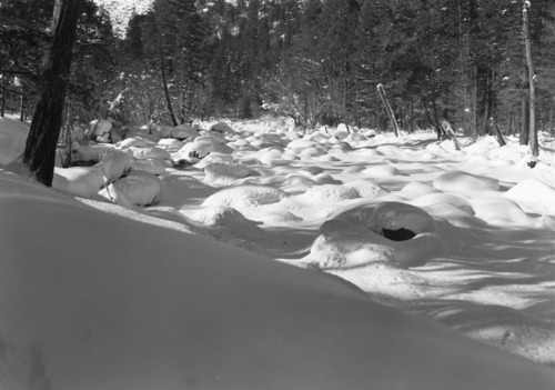 Snow on rocks near Sewage Plant (several negs). Job No. 101.
