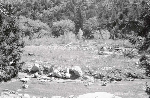 BW photo of the 1937 grazing study 35MM.