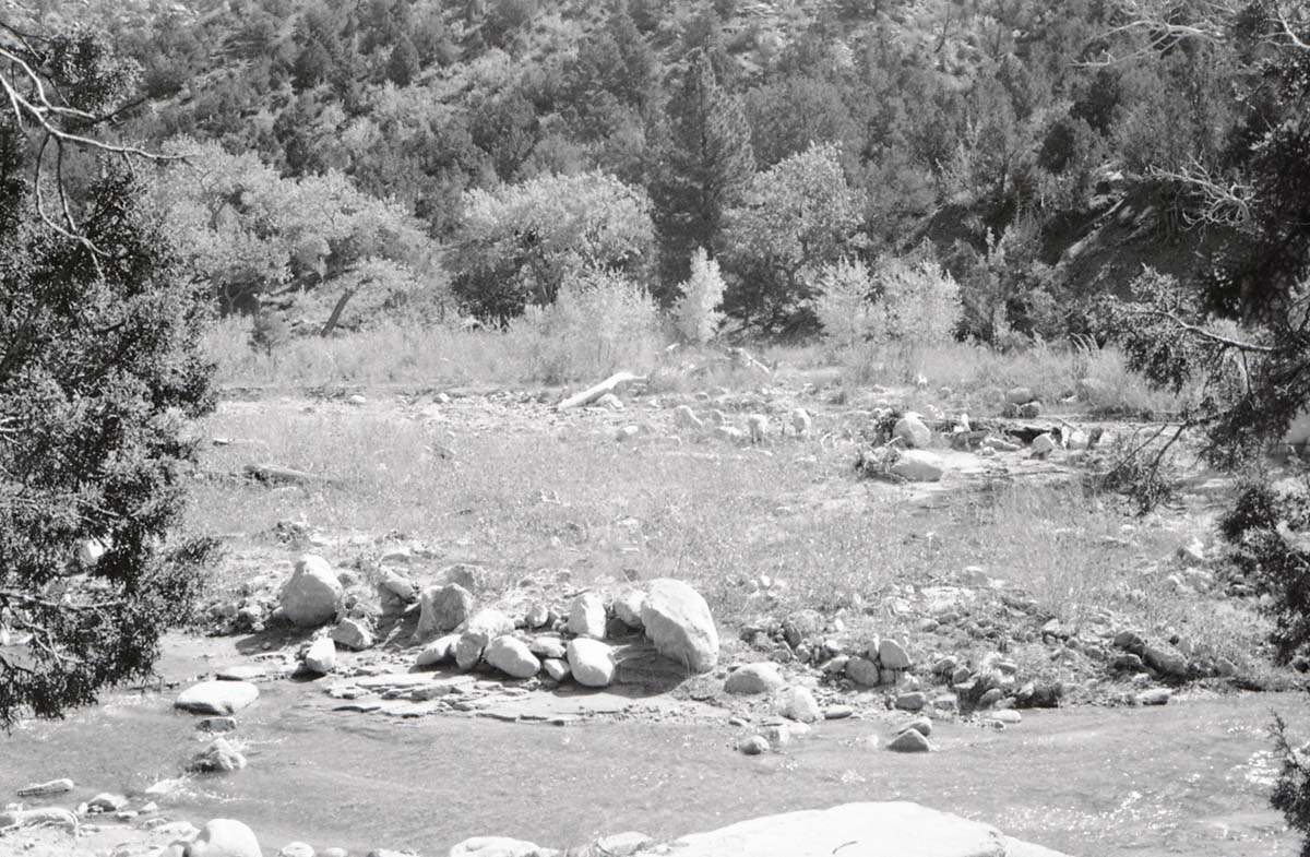 BW photo of the 1937 grazing study 35MM.