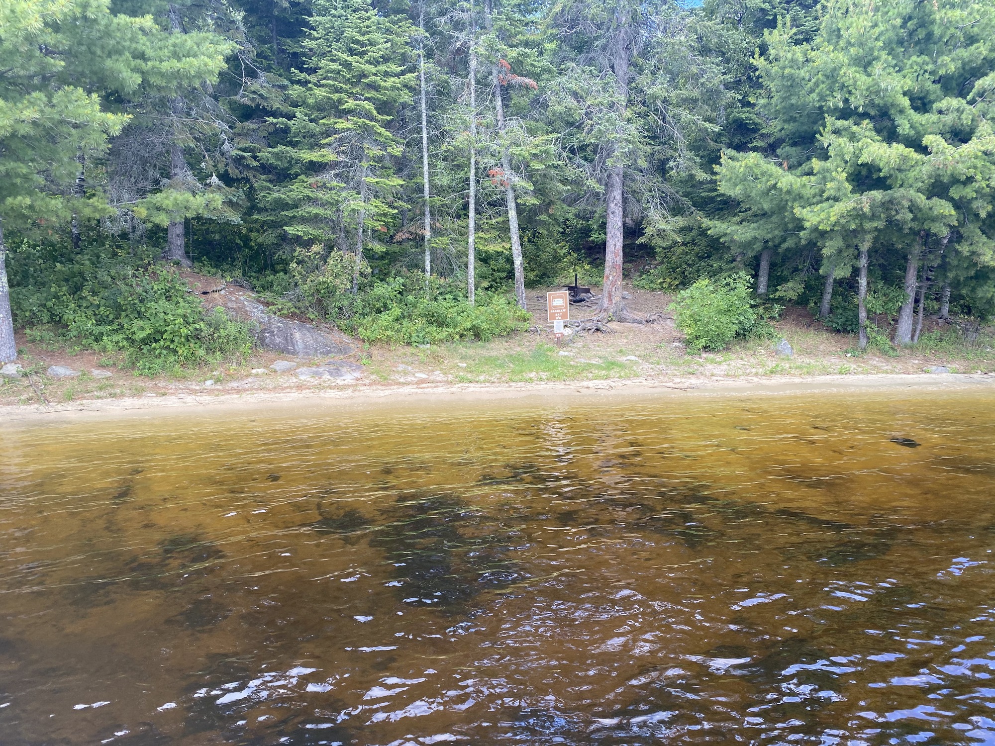 View of beach landing for houseboat site with the houseboat sign on edge of beach with fire ring farther up shore surrounded by trees. Large pine trees cover the background of image.