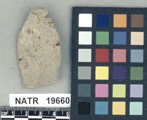 NATR   19660 -- Untyped projectile point