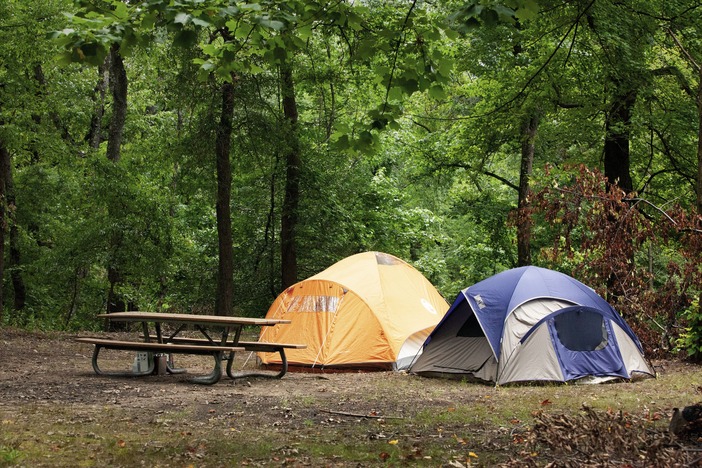 Two tents in a campsite surrounded by a forest. 