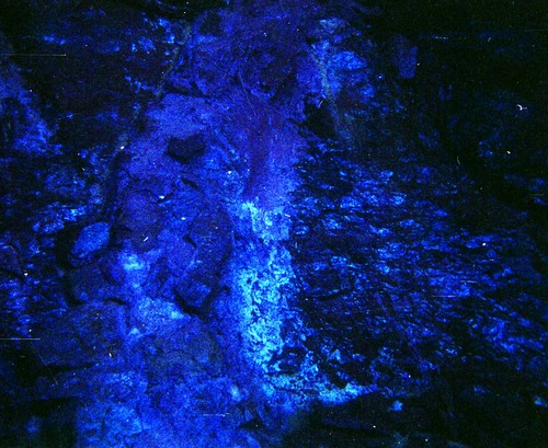 Color Photos of seeps and springs in Zion.