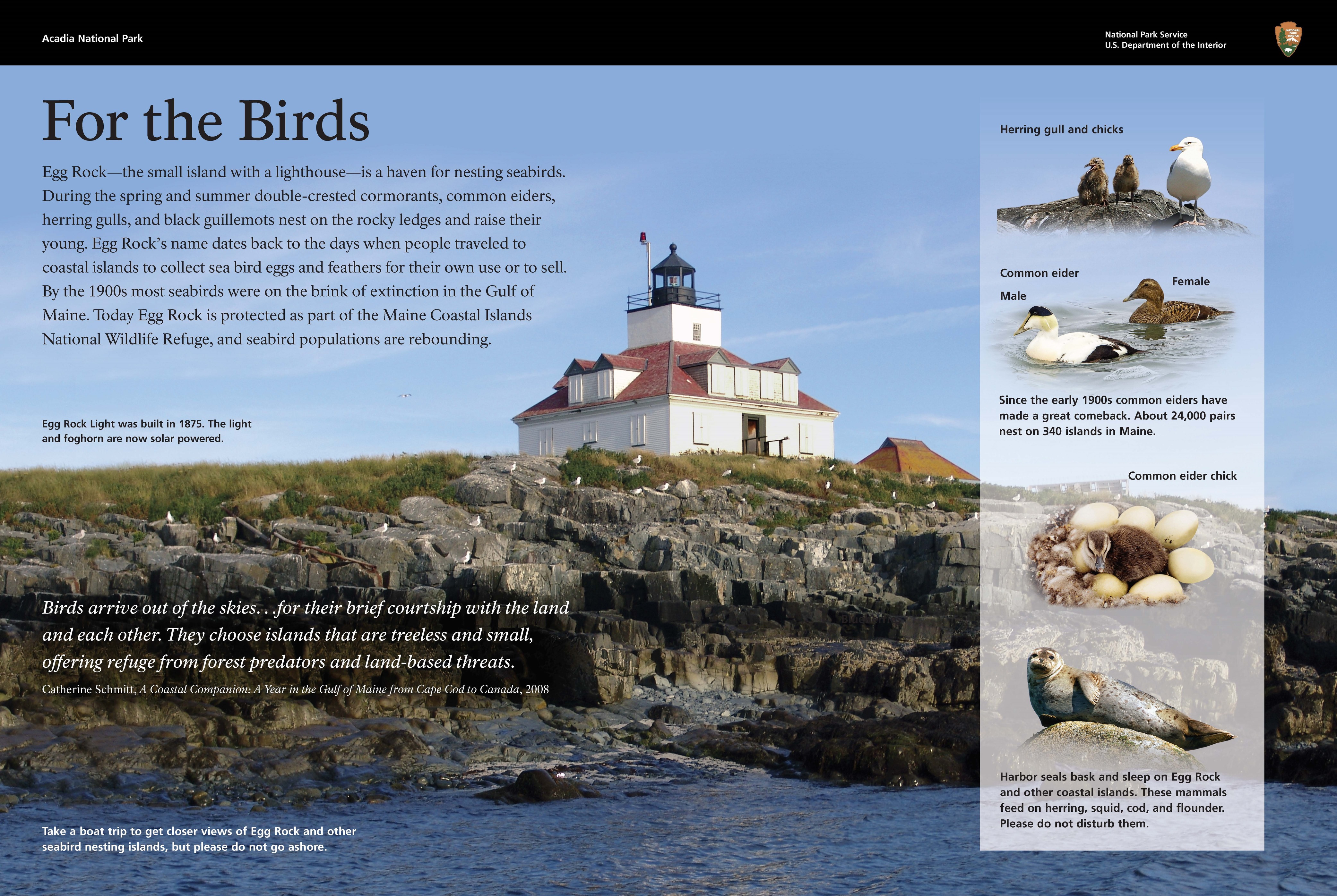 Title: For the Birds; Background image of lighthouse taken from the sea wit sea birds on the rocks.