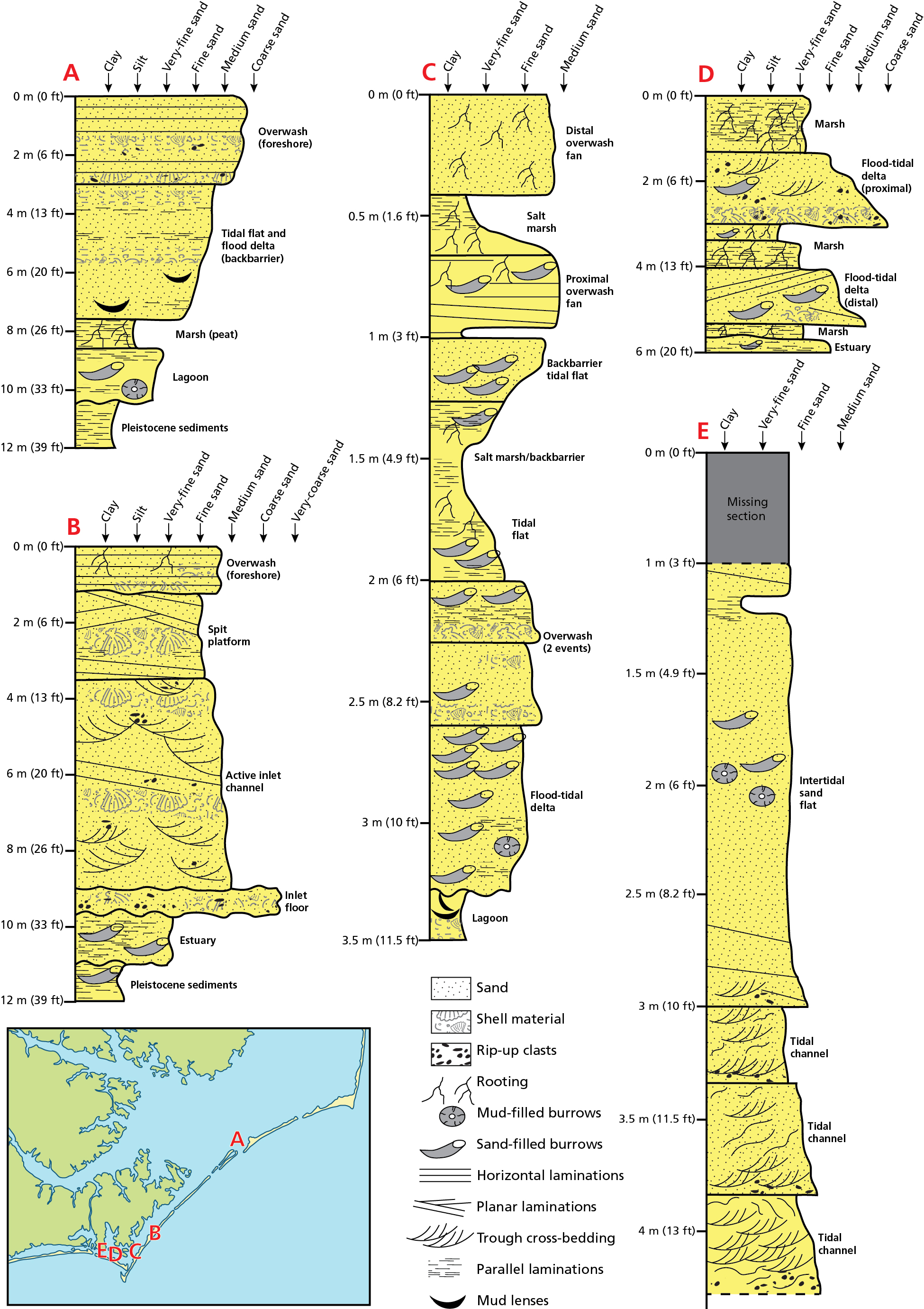 Vertical sequences of shallow sediments below the park. Figure has 5 cross sections that show sand, shell material, rip-up clasts, rooting, mud- or sand- filled burrows, horizontal laminations, planar laminations, trough cross bedding, parallel laminations, and/or mud lenses, in addition to relative size of clasts.