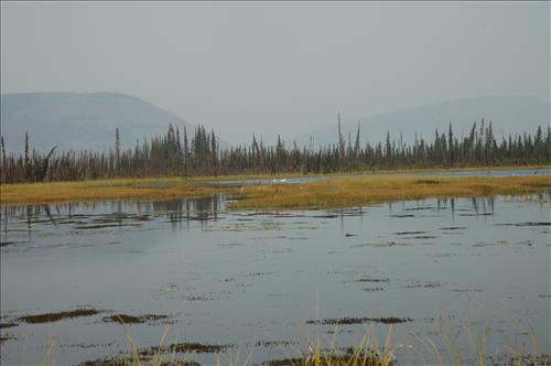 9 Water Quality Testing in Yukon-Charley Rivers National Preserve, August 2005