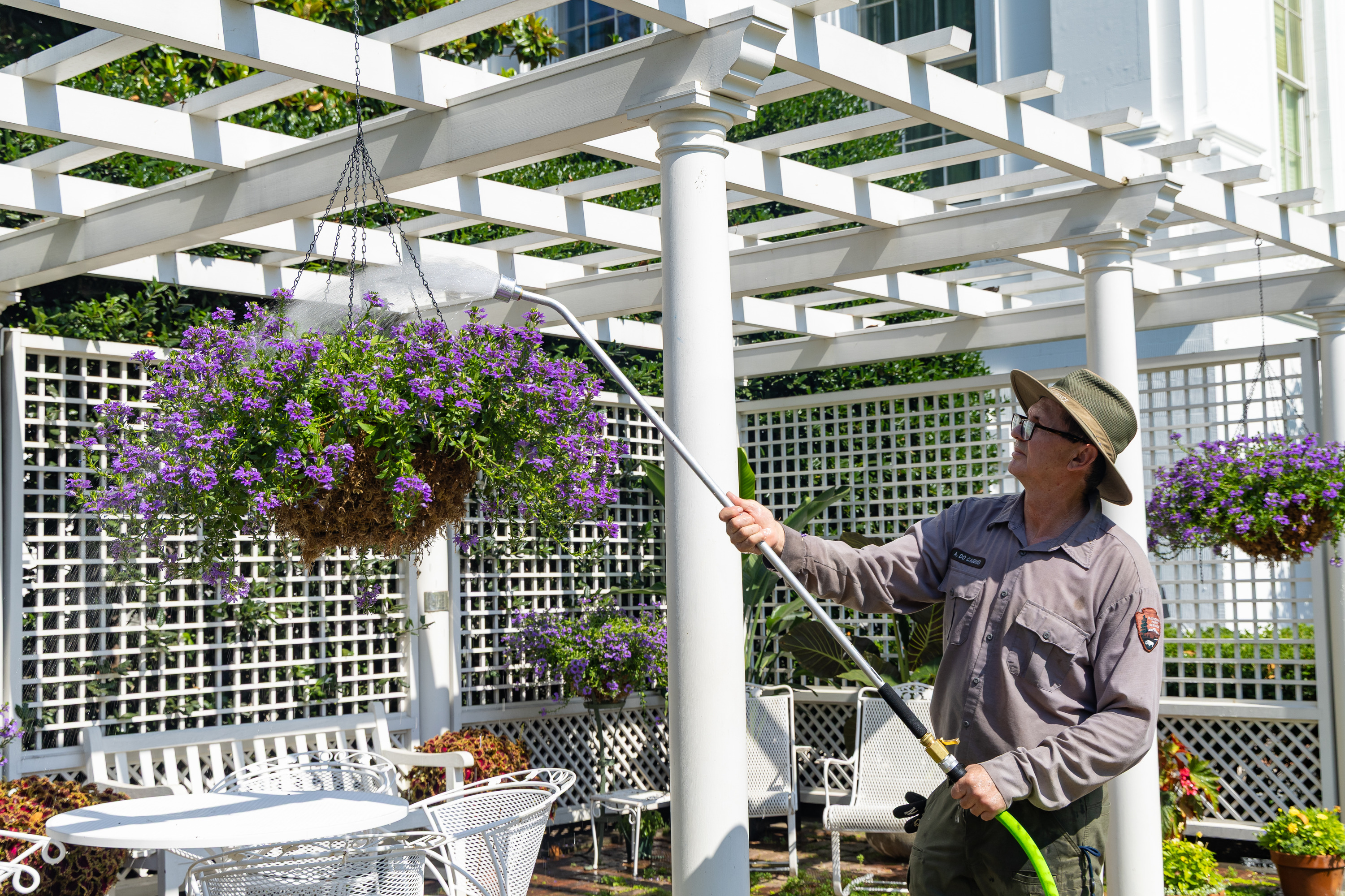 National Park Service Gardener Arino Do Carmo waters a hanging flower basket in the Jacqueline Kennedy Garden Pergola, June 25, 2025.