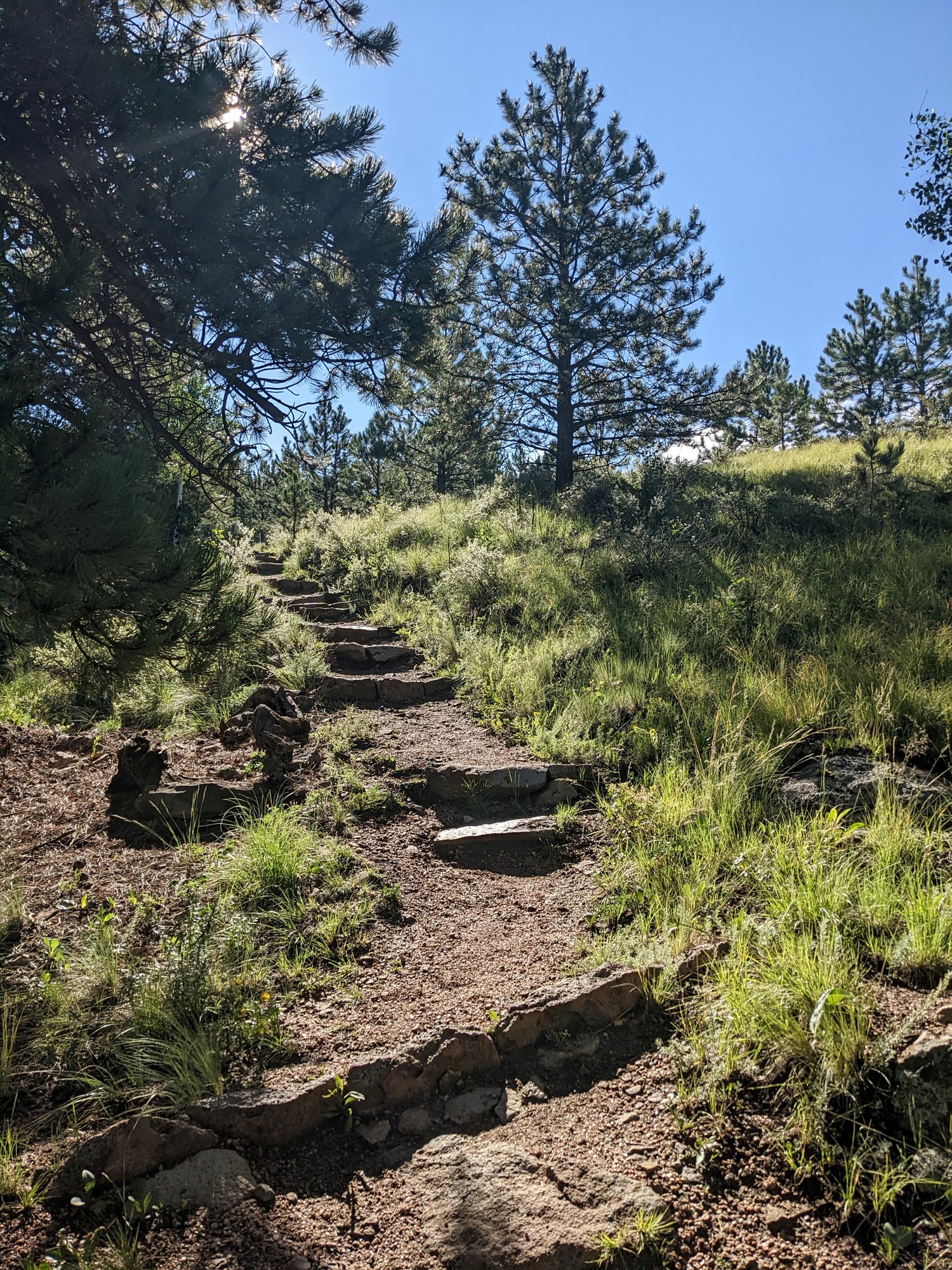 Stone steps climb up a steep hill covered in grass and trees.