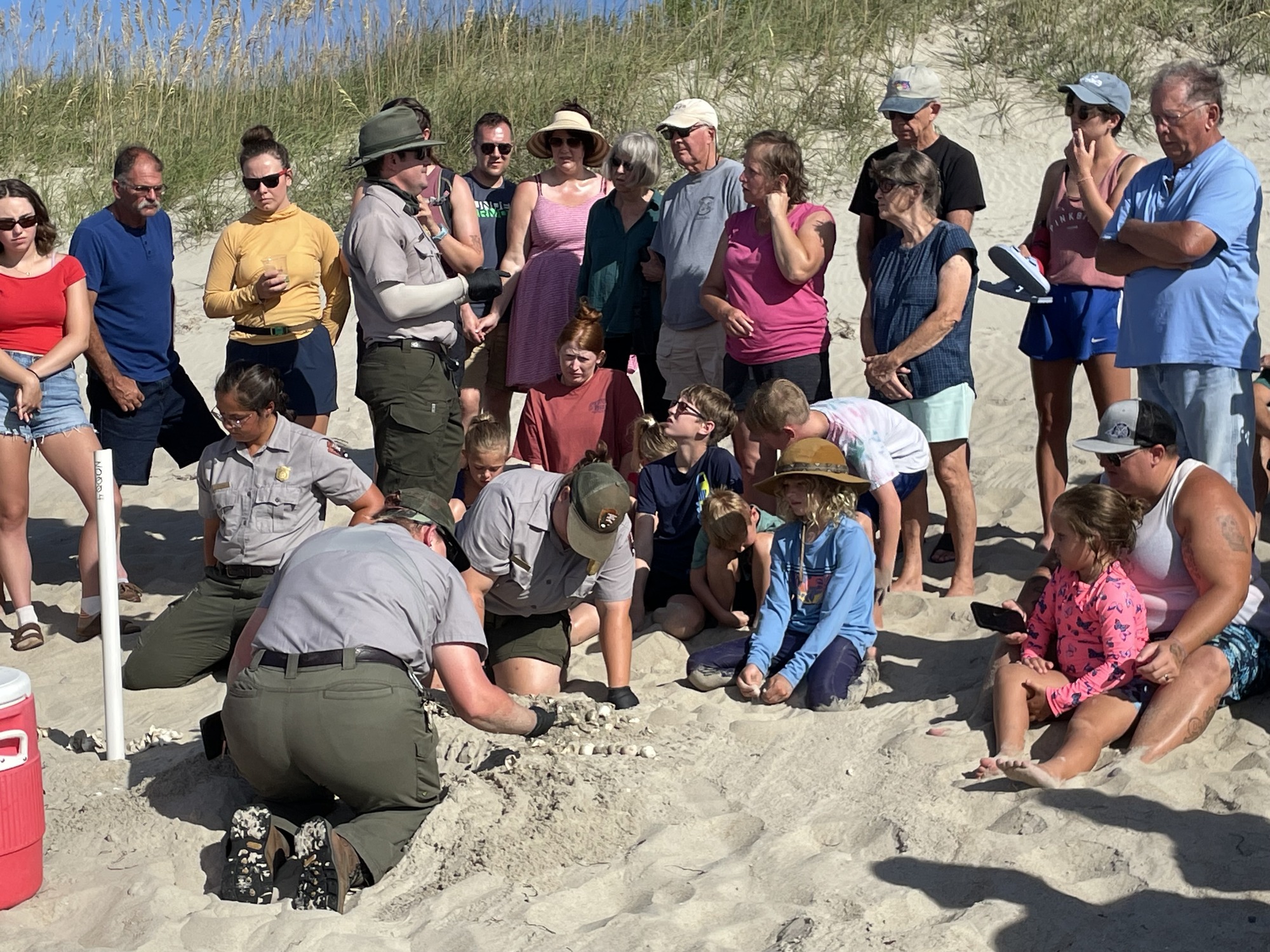 Sea turtle nest excavation event on Ocracoke Island