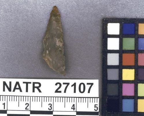NATR   27107 -- Untyped projectile point