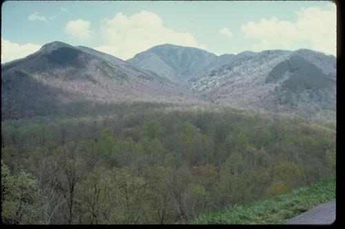 Views at Great Smoky Mountains National Park, Tennessee and North Carolina