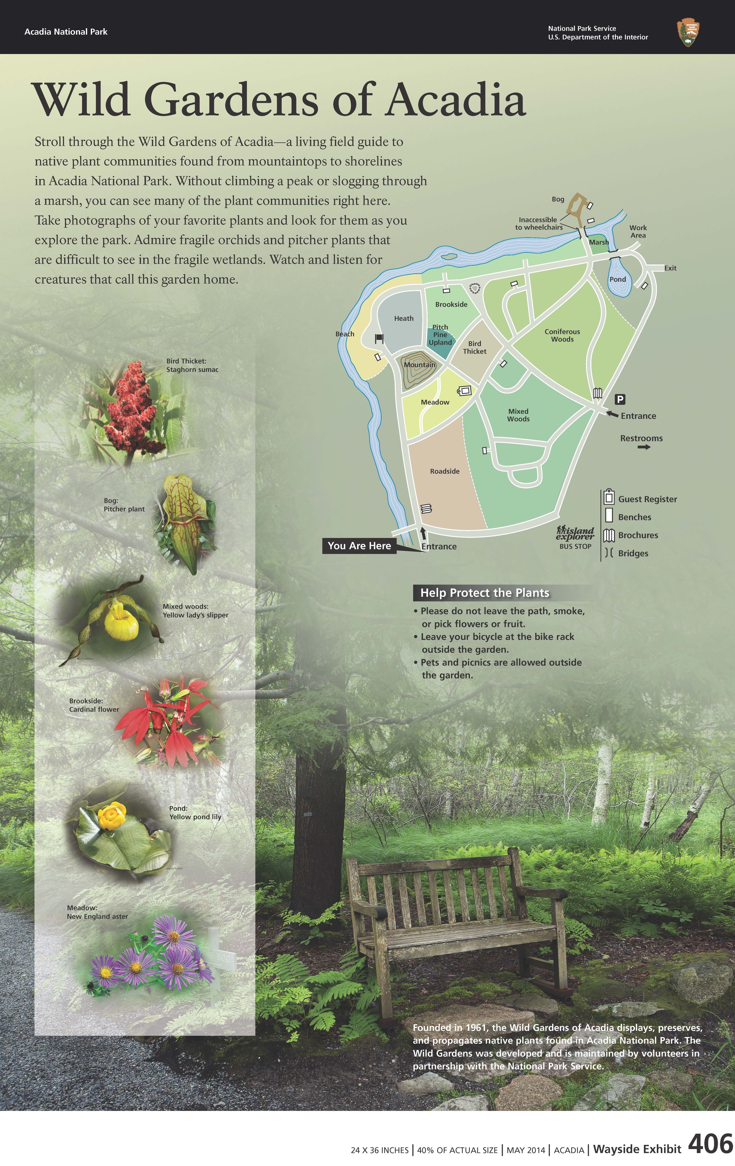 Title: Wild Gardens of Acadia in bold; background image is a map of wild gardens paths and planting areas with insets of pictures of native plants