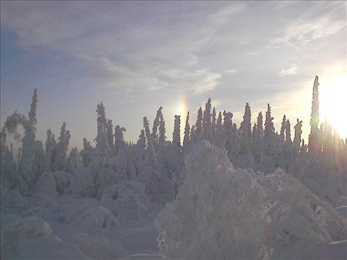 1 Gates of the Arctic National Park and Preserve Hares Survey 2004