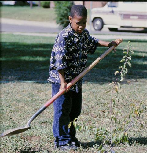 Native vegetation restoration, Sun Valley Neighborhood, Denver