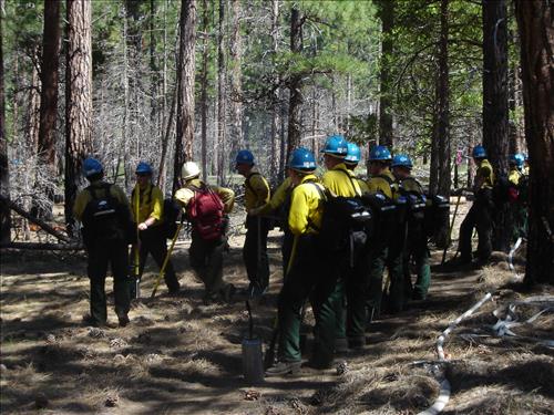 Roads End Prescribed Fire, Sequoia and Kings Canyon National Parks, May 2005