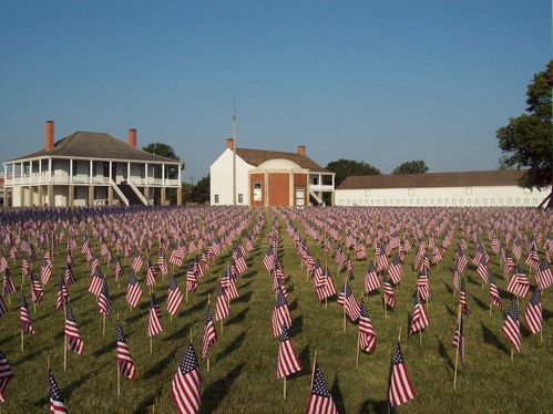 Field of  US  Flags with buildings in back ground