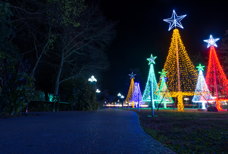 lights in the shape of trees and starts on top along a sidewalk at nighttime