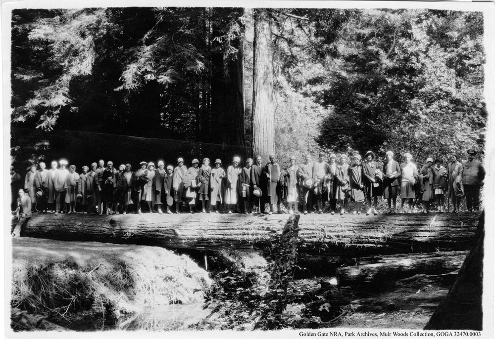 Visitors at Muir Woods