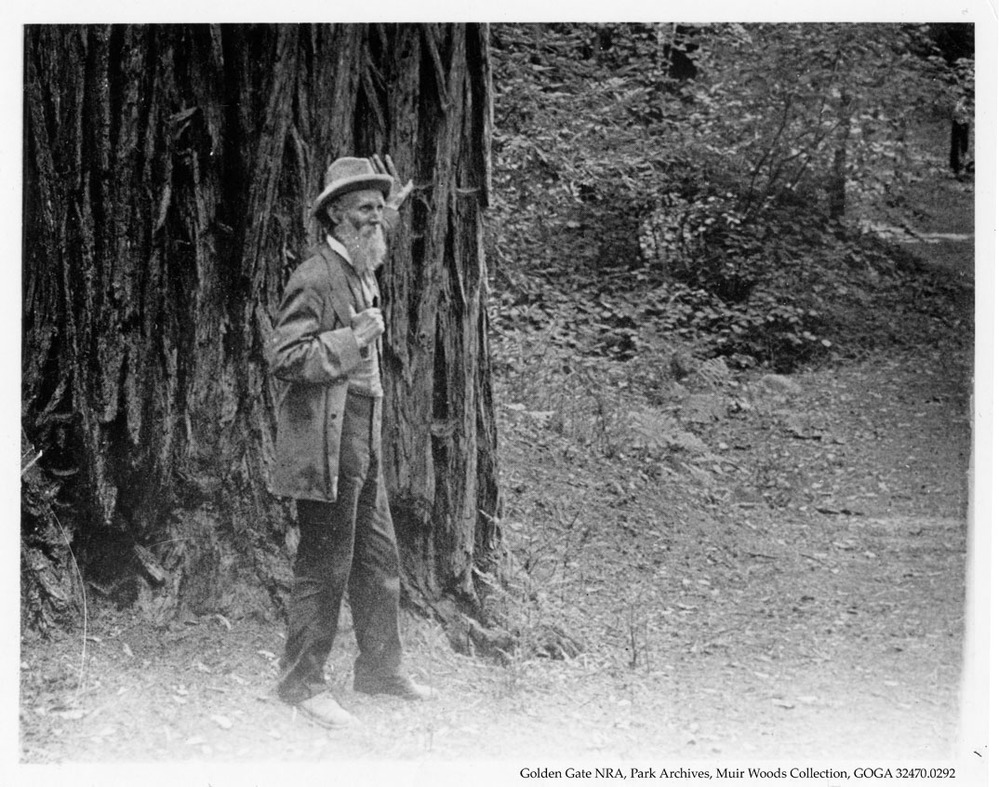 John Muir