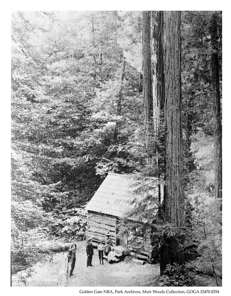 Ben Johnson Cabin in Muir Woods
