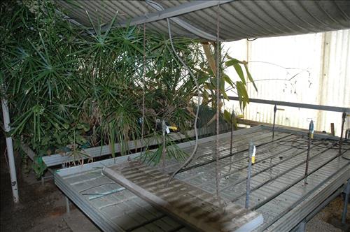 Major snow storm damage to greenhouse #4 at Kenilworth Aquatic Gardens - February 2010