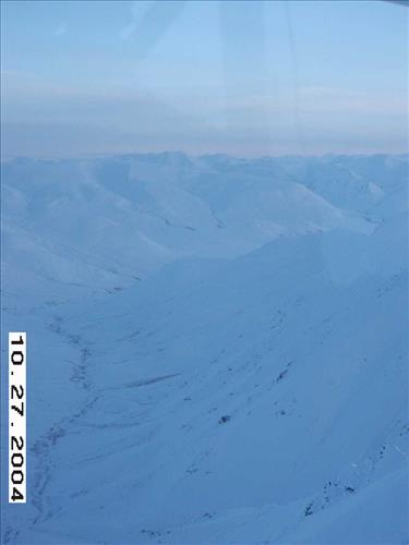 1 Gates of the Arctic National Park and Preserve Koyukuk Moose Survey 2004