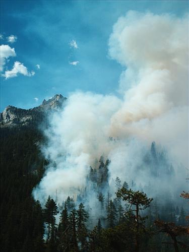 West Kern wildfire used for resource benefit, Sequoia and Kings Canyon National Parks, summer 2003