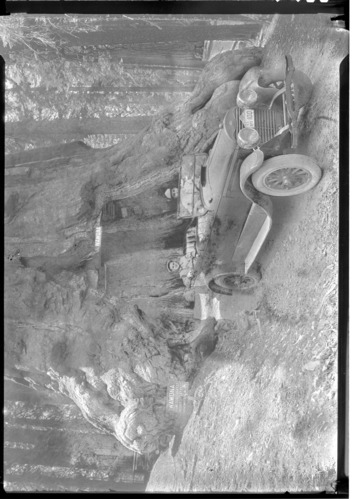 Ranger Hoyt driving theough Wawona Tunnel; F.J. Taylor in rear.