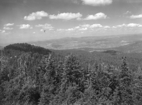 Big Oak Flat Road. View of Little Pilot Peak.