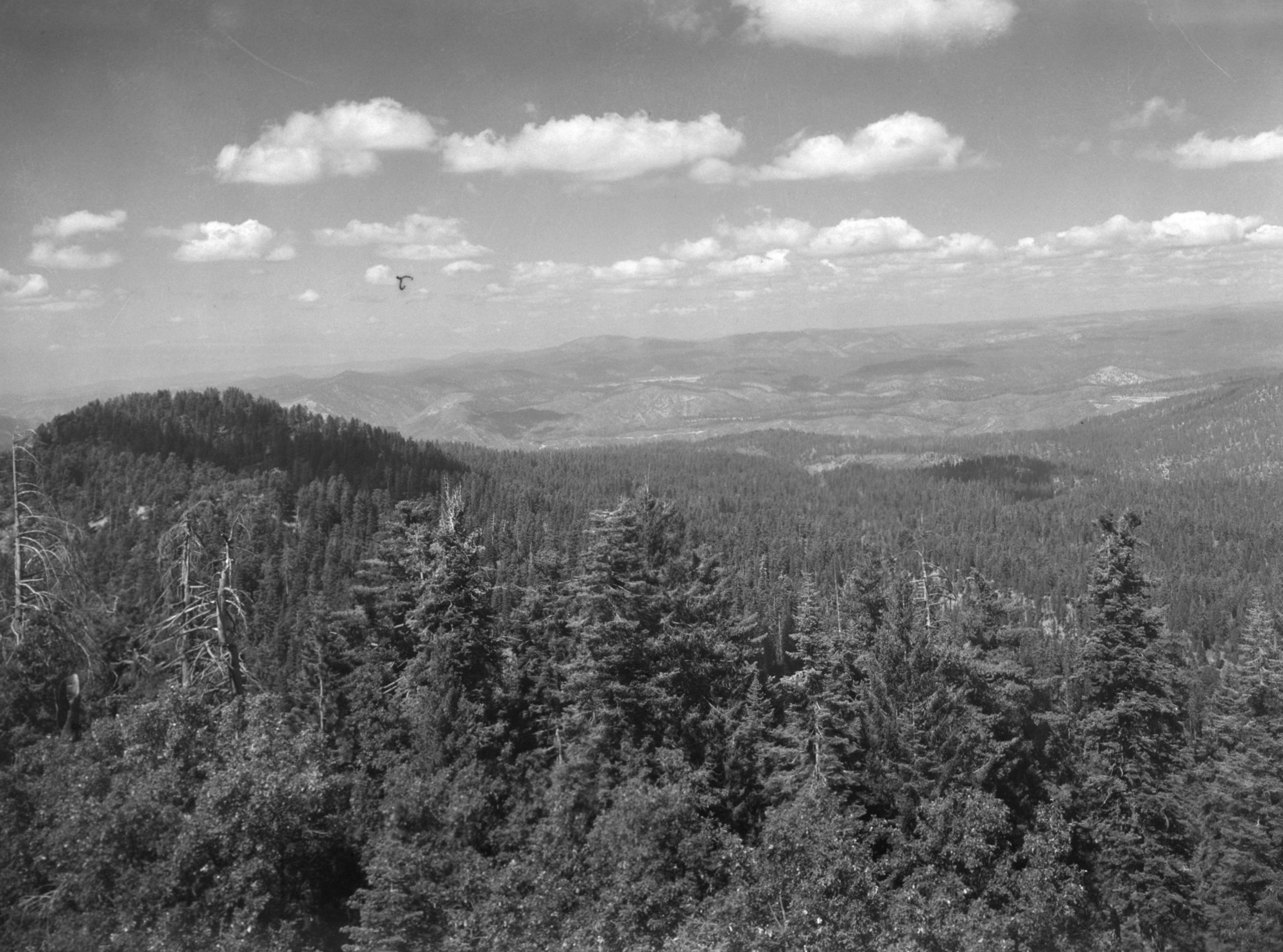 Big Oak Flat Road. View of Little Pilot Peak.