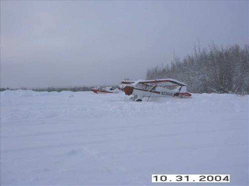 1 Gates of the Arctic National Park and Preserve Koyukuk Moose Survey 2004