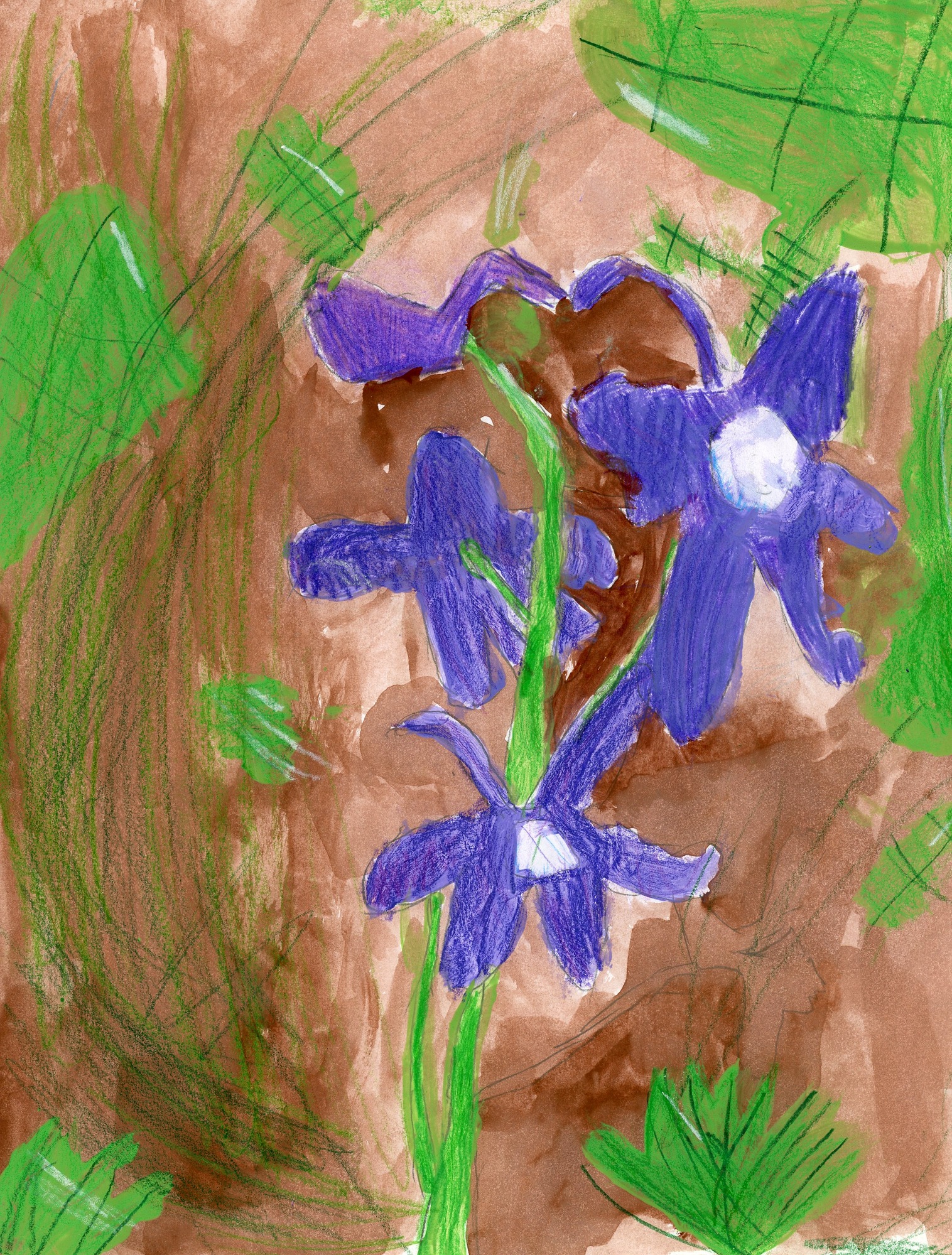 drawing on purple and white flower with green leaves and brown background