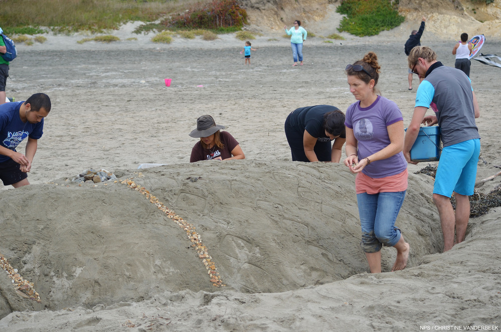 2013 Sand Sculpture Contest: Adult/Family Group Entry #19: Little Critters Big Deal, by Hiro Kajino
