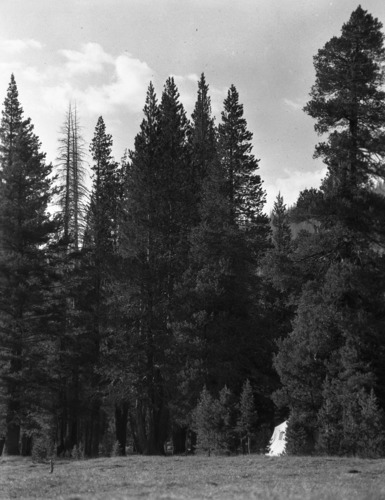 Campground at Devils Postpile.