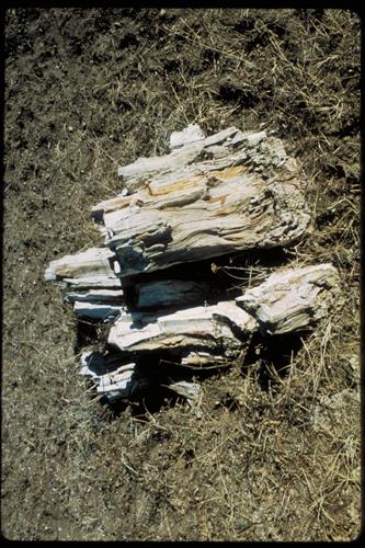 Agate Fossil Beds National Monument, Nebraska
