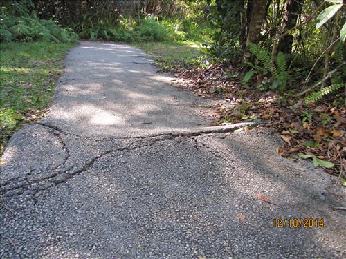 Gumbo Limbo Trail Dec 2014 01