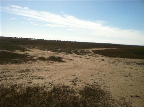 Marsh Social Trail 1