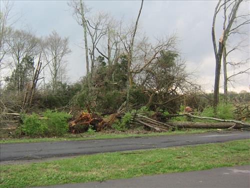 Tornado Damage at Stones River National Battlefield in April 2009