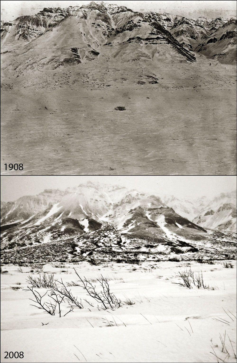 A photo pair showing Changing Shrublines at Toklat River: 1908-2008