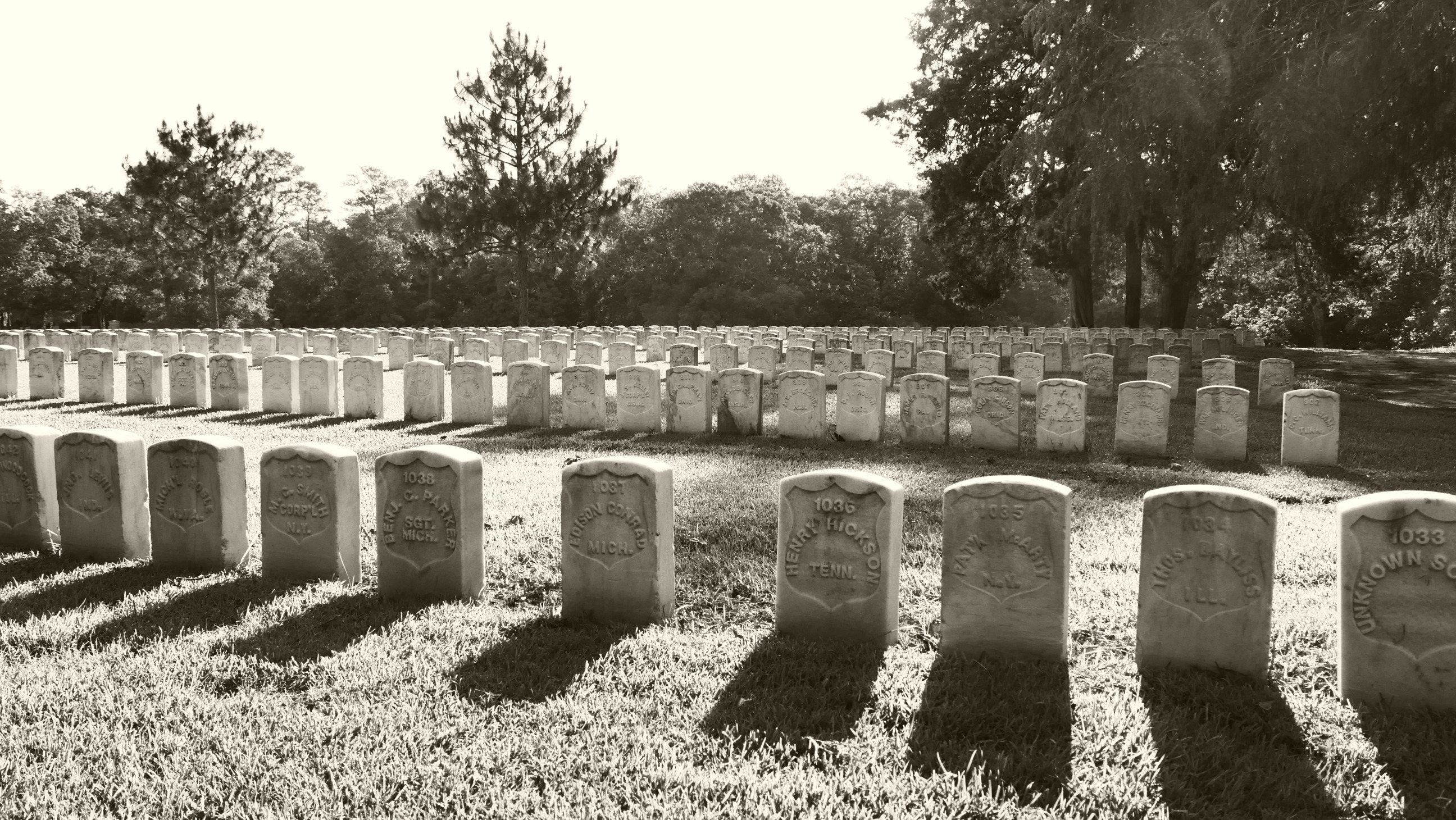 Black and white photo of rows of headstones