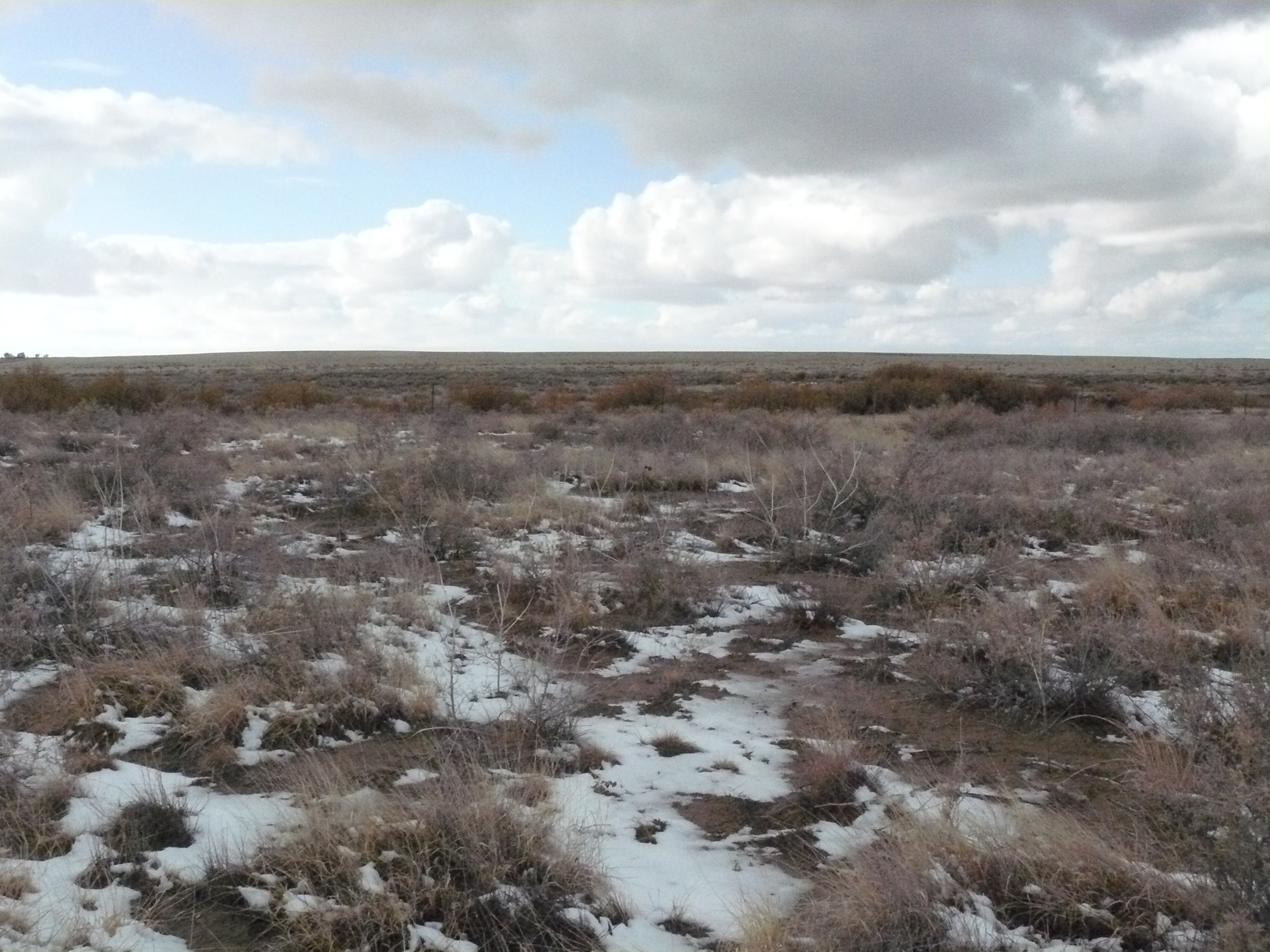 A wayside with clouds in the sky and a field covered in snow.