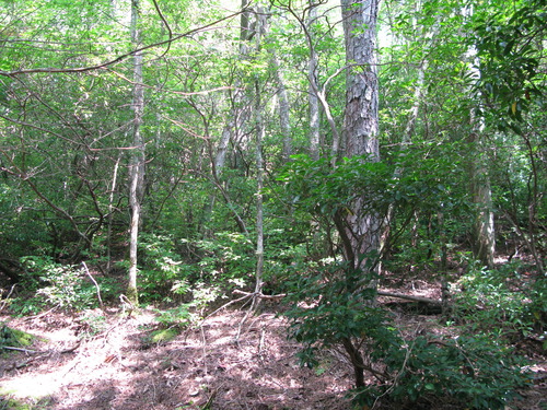 Plot Code: GRSM_AA_0357_2